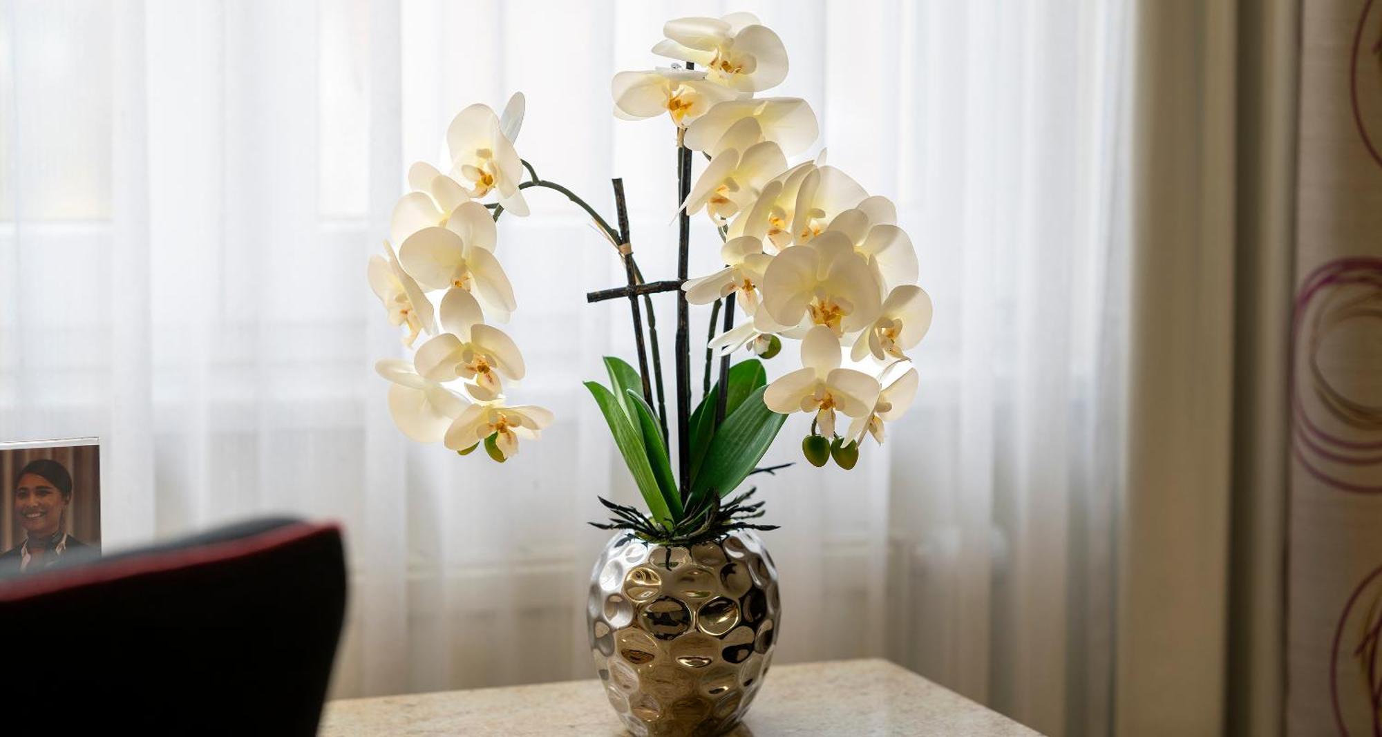Plaza Inn Blankenburg Ditzingen, Sure Hotel Collection Екстериор снимка